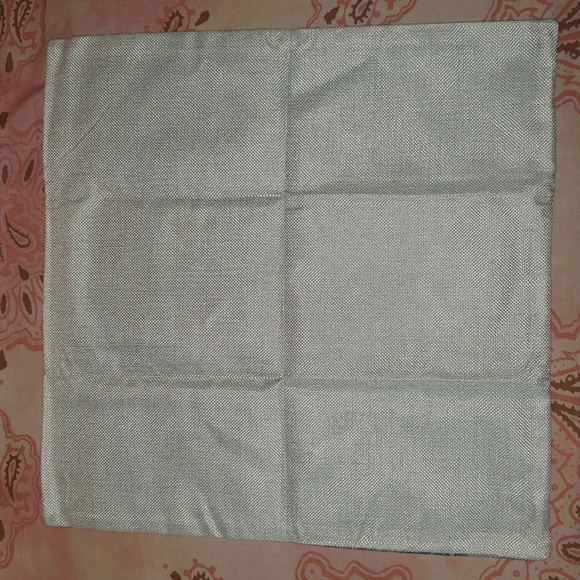 Raccoon Pillow Cover. Real Raccoon. Coon - Picture 8 of 11